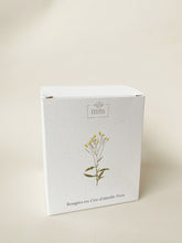 Load image into Gallery viewer, Lot de 4 bougies L’Âme Dorée - millimetres.be