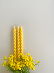 Bougies torsadées en cire d'abeille