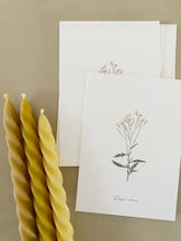 Load image into Gallery viewer, Lin doré – Rayon d’âme
