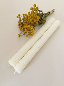 Lot de 3 chandelles en cire d'abeille blanche