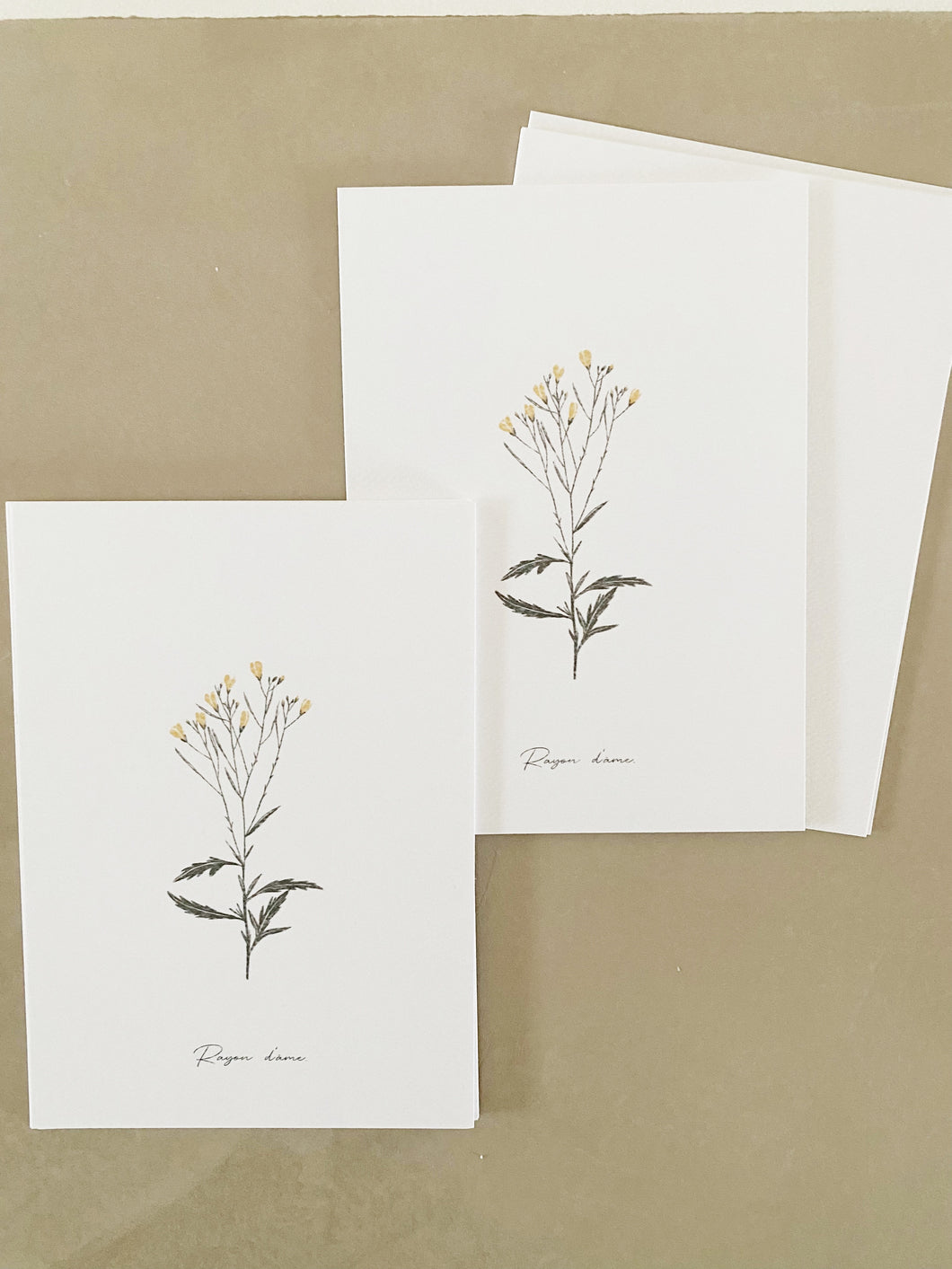 Lin doré – Rayon d’âme