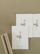 Load image into Gallery viewer, Anémone des bois – Le silence sait fleurir
