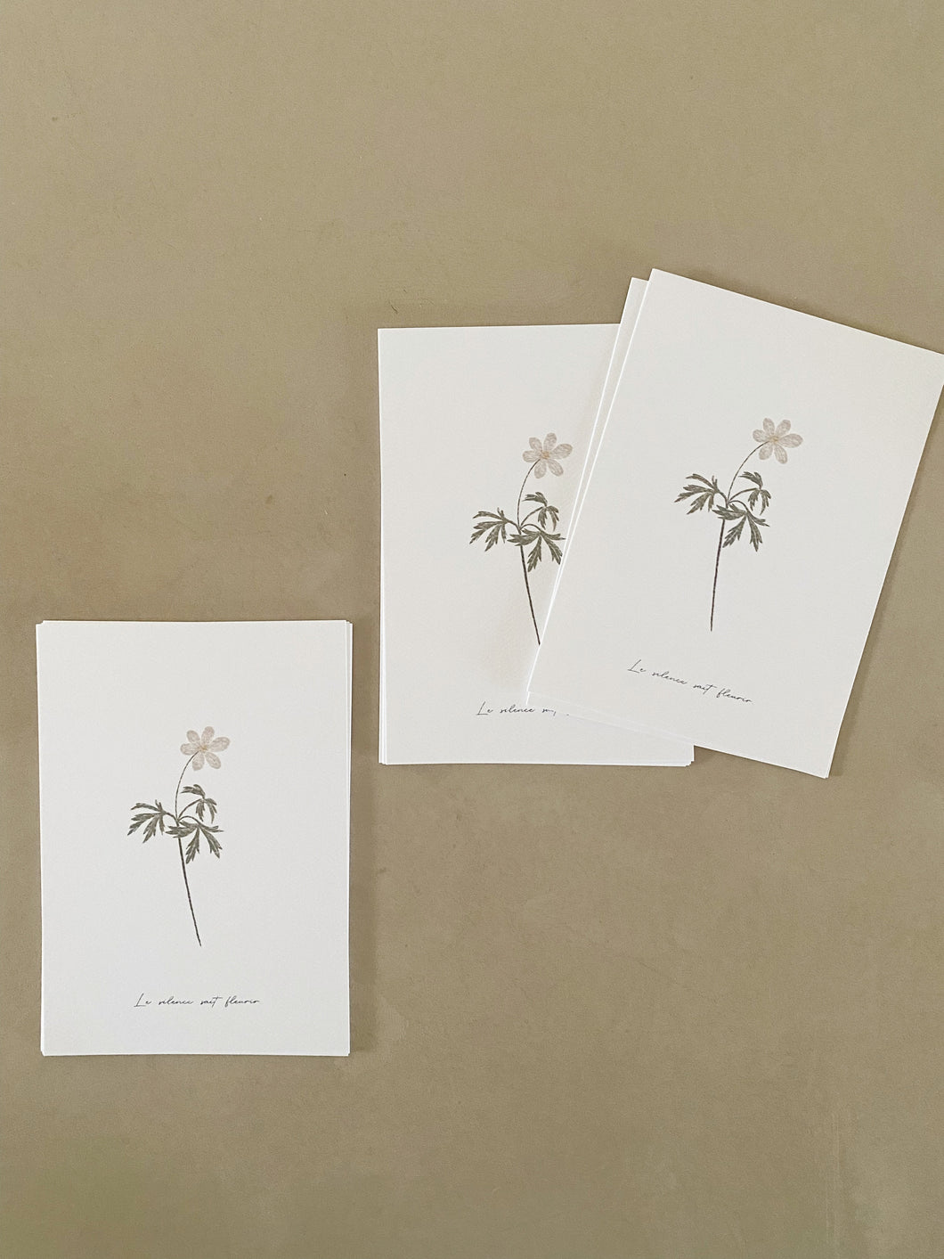 Anémone des bois – Le silence sait fleurir