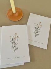 Load image into Gallery viewer, Camomille – La douceur n’a pas besoin de mots
